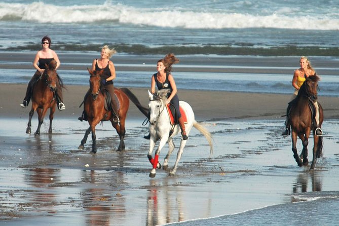Horse Riding on the Black Sand Beach and Free Hotel Transfers - Why Saba Beach’s black sand is the whole point