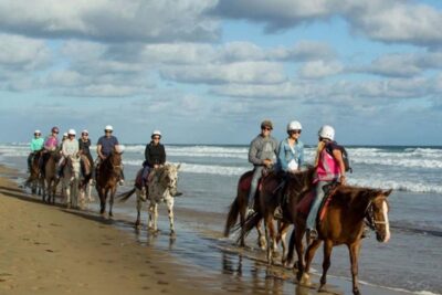 Horse Riding on the Black Sand Beach and Free Hotel Transfers - What $74 buys you: private ride, transfers, and an English-speaking driver