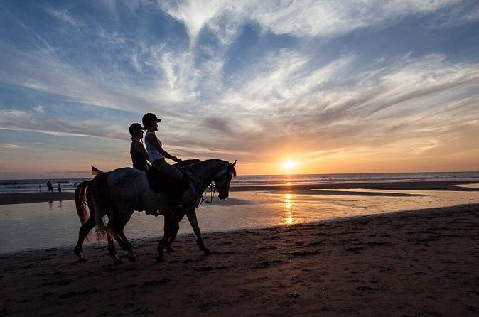Horse Riding on the Black Sand Beach and Free Hotel Transfers - Practical rules on the horse: what you must check first