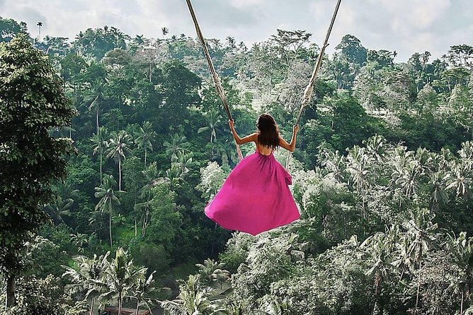 Individual Bali Day Trip with Private Driver and Free WiFi - WiFi on Board and Mobile Tickets: Tiny Perks That Save Big Time