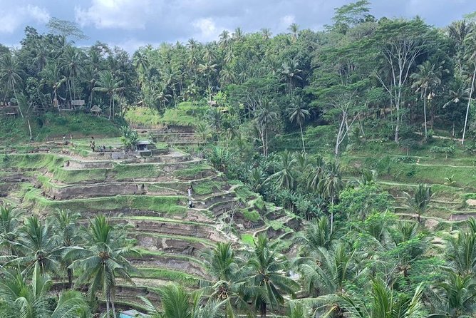 Individual Bali Day Trip with Private Driver and Free WiFi - How the 8-Hour vs 10-Hour Options Change Your Choices