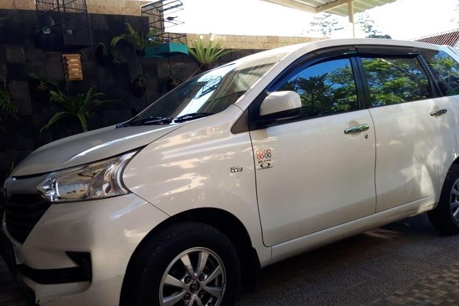 Individual Bali Day Trip with Private Driver and Free WiFi - Central Bali Ubud Culture and Rice-Field Photos