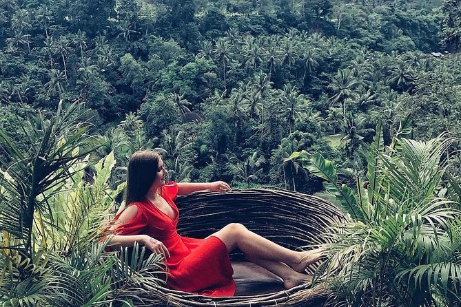 Individual Bali Day Trip with Private Driver and Free WiFi - Western Bali Temples and the Coastline Classics (Tanah Lot to Jatiluwih)