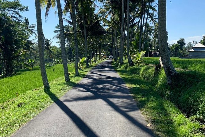 Individual Bali Day Trip with Private Driver and Free WiFi - Lakes, Gates, and the East Bali Route (Bratan, Handara, Wanagiri)