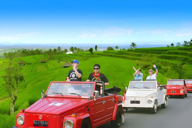 Jatiluwih VW Safari Bali Tour - Volkswagen Classic Car Trip - Pickup, drop-off, and how the full-day timing plays out