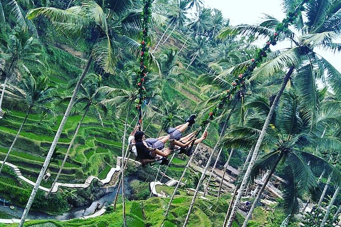 Jungle Swing & White Water Rafting Experience - Pickup and Air-Conditioned Transport From Seminyak and Beyond