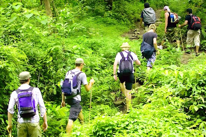 Jungle Trekking and Tamblingan Lake Canoeing in Bali Rainforest - How the 7:30 am pickup system changes your day