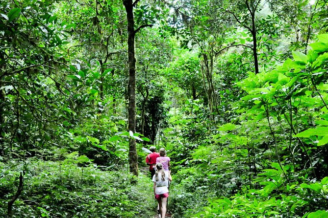 Jungle Trekking and Tamblingan Lake Canoeing in Bali Rainforest - Tamblingan Lake by dugout canoe: why water time feels different