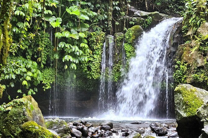 Jungle Trekking at Mt. Batukaru, scenic Waterfall & village life - Key highlights you should know