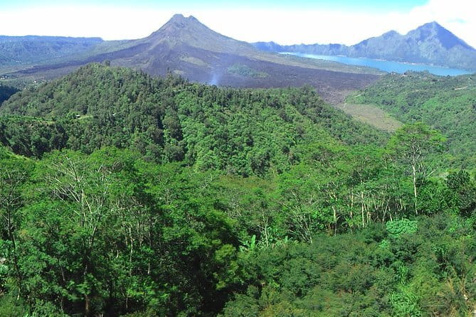 Jungle Trekking at Mt. Batukaru, scenic Waterfall & village life - Two hours in the rainforest: what your local ranger actually teaches