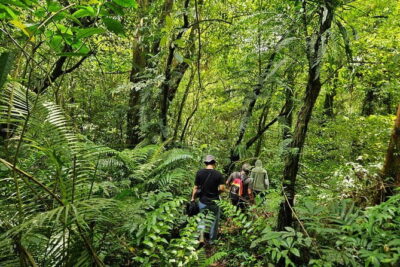 Jungle Trekking at Mt. Batukaru, scenic Waterfall & village life - Pura Luhur Batukaru: the calm, misty temple moment before you hike