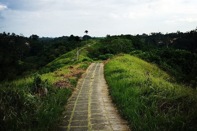 Kintamani Volcano View Tour - Why this Kintamani itinerary feels worth the money