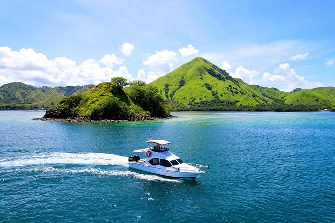 Komodo Island Adventure from Bali (Day Trip) - Why This 12–15 Hour Komodo Day Works From Bali