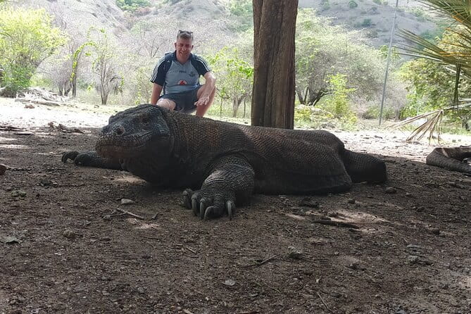 Komodo Island Adventure from Bali (Day Trip) - Siaba Besar (Turtle City) for Turtles and Coral Reefs