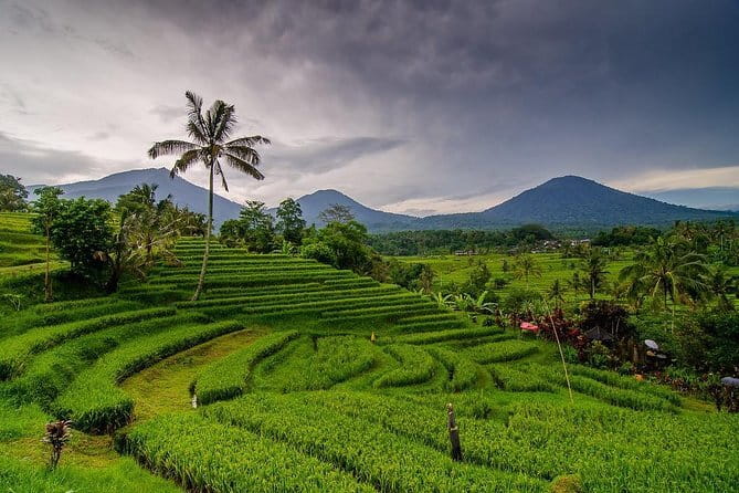 Kuta Half Day Tour - Stop 4: Krisna Sunset Road for Budget Souvenirs That Actually Make Sense