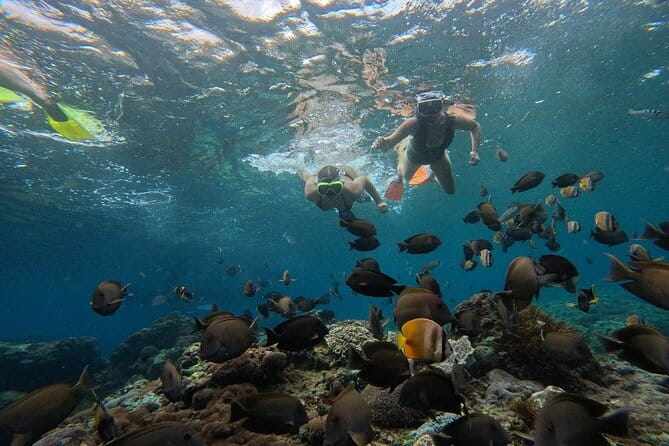 Lembongan Snorkeling at Manta Bay, Crystal Bay and Mangrove - Crystal Bay: clearer water, reef time, lots of fish