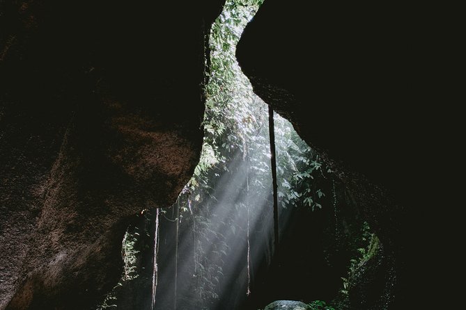 Lempuyang Gates of Heaven, Tirta Gangga Temple Swim & Jungle Waterfalls - Guide quality: why it matters more than you think