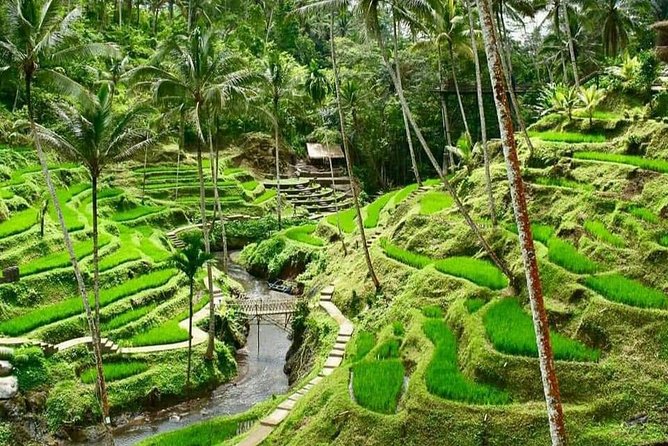 Magic Of Ubud Temple Swing And Waterfall Private Guided Tour - Sacred Monkey Forest Sanctuary: fun walking, watch the rules