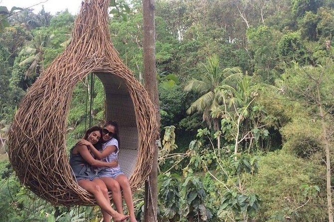 Magic Of Ubud Temple Swing And Waterfall Private Guided Tour - Happy Swing Bali: the photo-focused stop people remember