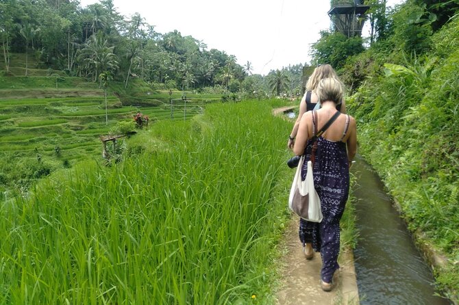 Magic Of Ubud Temple Swing And Waterfall Private Guided Tour - Ulu Petanu Waterfall: green nature and a river walk vibe