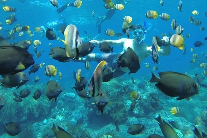 Manta Bay Snorkeling Adventure with Kelingking Beach Nusa Penida All Inclusive - Key Highlights You’ll Actually Feel