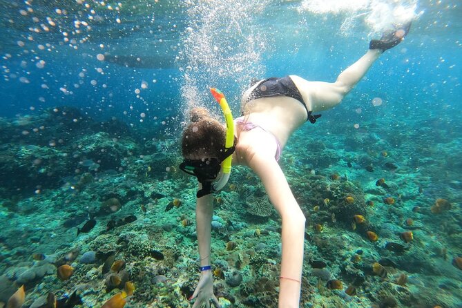 Manta Bay Snorkeling Adventure with Kelingking Beach Nusa Penida All Inclusive - From Jimbaran Pick-Up to Sanur Harbor: The Day’s Backbone
