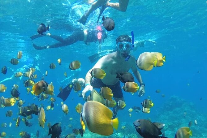 Manta Bay Snorkeling Adventure with Kelingking Beach Nusa Penida All Inclusive - Kelingking Beach Photo Stop: The View That Makes the Trip Worth It