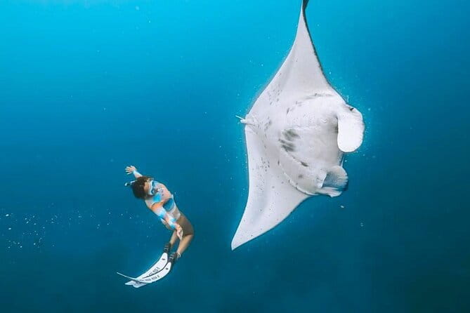 Manta Point Snorkeling & West Nusa Penida Island Day Tour - Key highlights worth knowing before you go