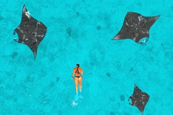 Manta Point Snorkeling & West Nusa Penida Island Day Tour - Manta Point snorkeling: your best shot at giant mantas