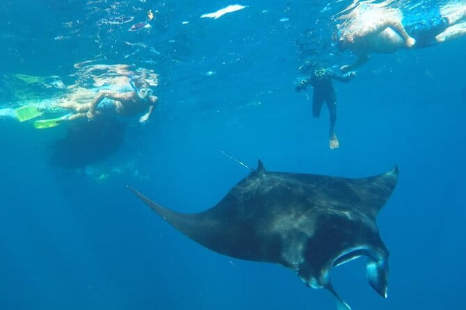 Manta Point Snorkeling & West Nusa Penida Island Day Tour - Angel’s Billabong and Broken Beach: short stops, big drama