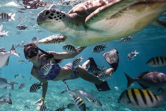 Manta Point Snorkeling & West Nusa Penida Island Day Tour - The land route on West Nusa Penida: what you gain (and what you lose)