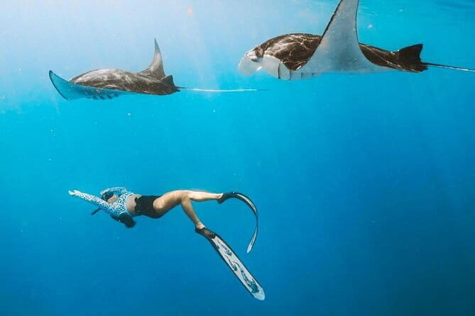 Manta Point Snorkeling & West Nusa Penida Island Day Tour - Gamat Bay: coral, fish, and the turtle bonus