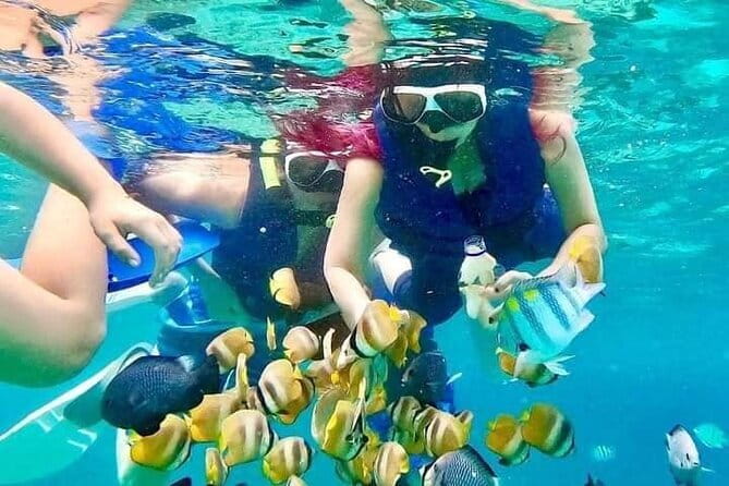Monkey Bar and snorkling adventure at blue lagoon. - Blue Lagoon snorkeling: the main event in two focused hours