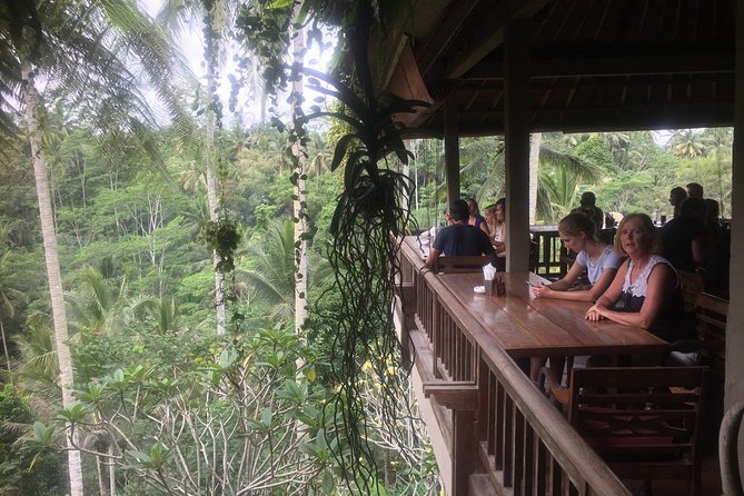 Monkey Forest, Ubud, Waterfall and Rice Terrace - Monkey Forest Sanctuary: One Hour for Macaques, Photos, and Quick Decisions