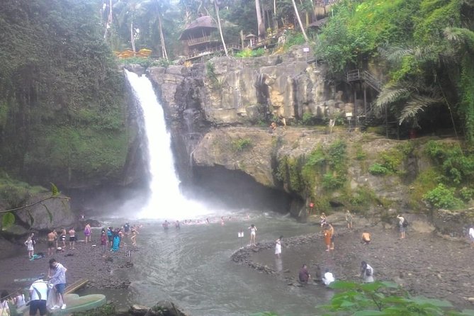 Monkey Forest, Ubud, Waterfall and Rice Terrace - Tegenungan Waterfall and Happy Swing Bali: Cool Air, Then Optional Harness Fun