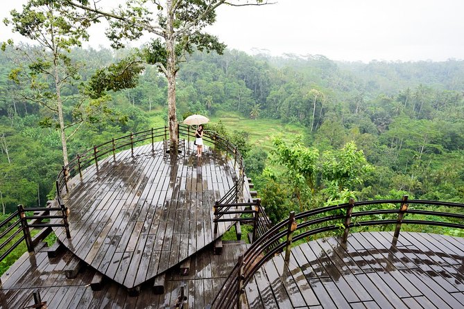 Monkey Forest, Ubud, Waterfall and Rice Terrace - Price and Value: What $65 Gets You (And What It Doesn’t)