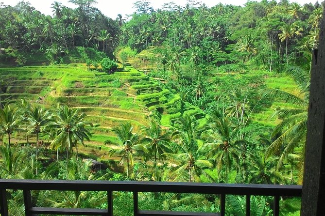 Monkey Forest, Ubud, Waterfall and Rice Terrace - Tegalalang Rice Terraces: The Subak System and the Best Reason to Slow Down