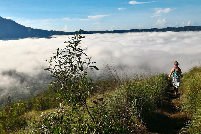 Mount Batur Sunrise Trekking Option - Coffee plantation stop and optional Luwak pricing