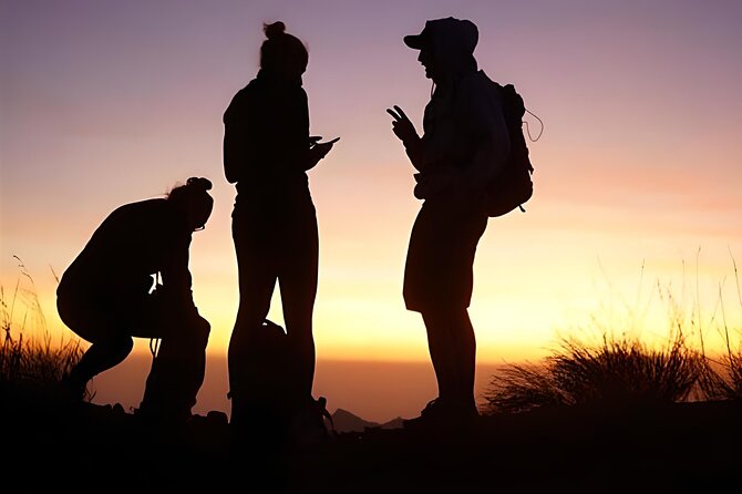 Mount Batur Sunrise Trekking with Natural Hot Springs - Who This Tour Suits Best in Bali