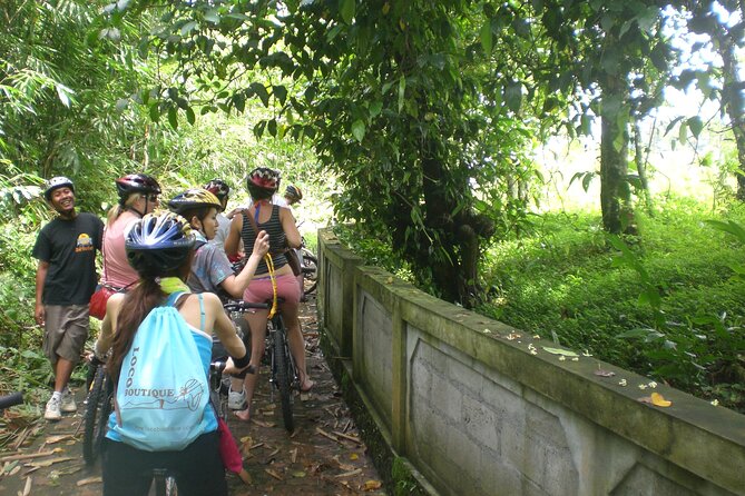 Mountain Cycling Tour - Rural Bali by bike: rice fields, villages, and temple passes