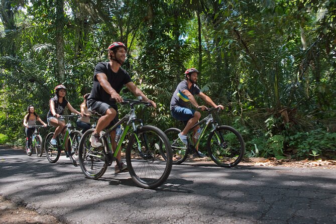 Mountain Cycling Tour - Taro bamboo forest and the fruit-and-spice breaks