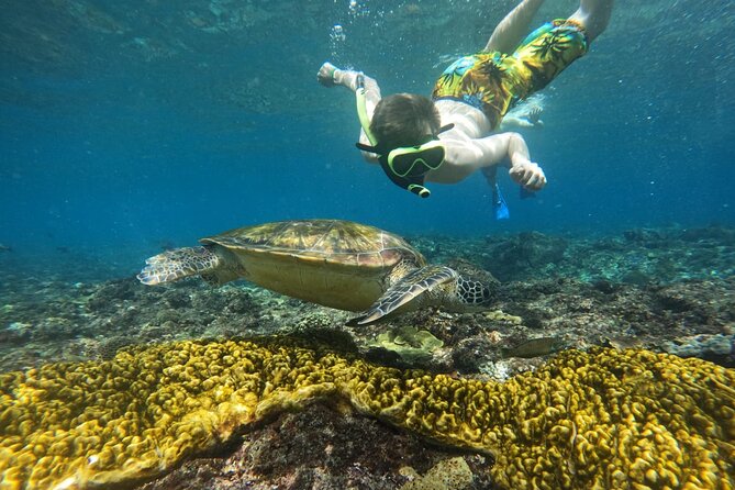 No:#1. Penida Island Tour And Snorkeling With Manta - Lunch and timing: managing a 12.5-hour island day
