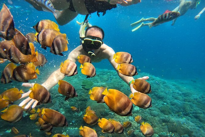 No:#1. Penida Island Tour And Snorkeling With Manta - Who this tour is best for (and who should think twice)