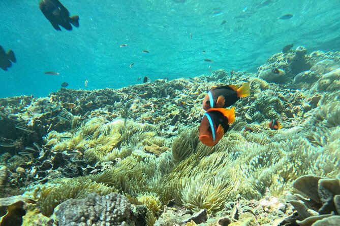 No:#1. Penida Island Tour And Snorkeling With Manta - Weather and water conditions: how to plan your Bali week