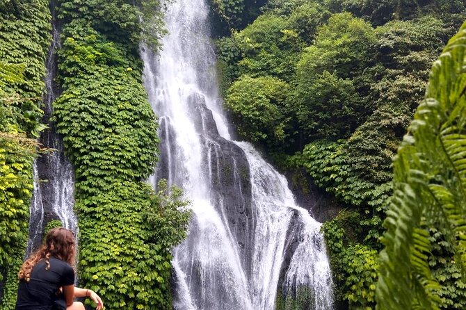 North Bali Hidden Gems Tour Ulun Danu Temple Twin Lakes Waterfall - Handara Gate photo time that actually feels manageable