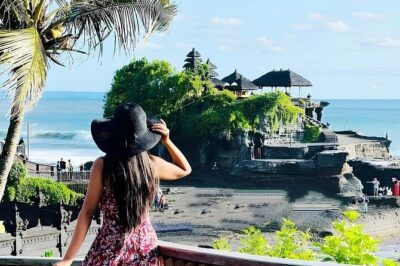 North Bali Nature Escape Rice Terraces, Temples & Waterfall - Price and Value: Why Around $33.43 Can Work