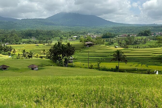 North Bali Nature Escape Rice Terraces, Temples & Waterfall - Ulun Danu Beratan: The Water Temple with Lake Reflection