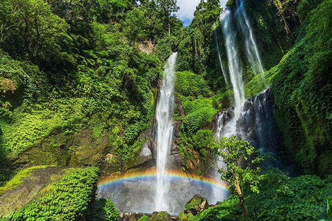 North Bali: Sekumpul Waterfalls and Ulun Danu Temple Tour - The Driver and Guide Factor: When the Day Feels Easy or Annoying