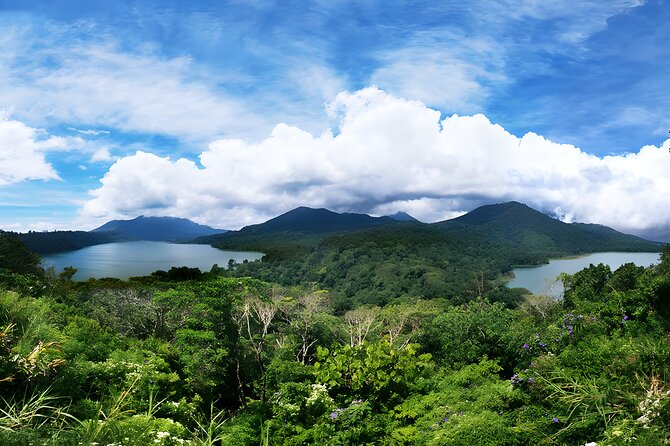 North Bali Tour - Visiting Rice Terrace, Lake, Waterfall, Temple and Hot Spring - Door-to-door pickup from Seminyak: the real value add