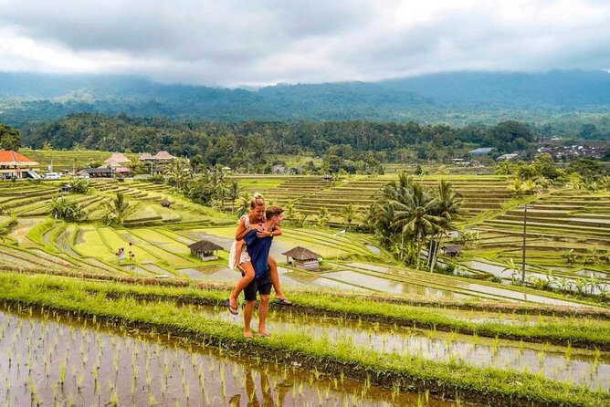 Northern Bali Tour - Private Full Day Tour - All Inclusive - Price and logistics: $29 all-in, with a real structure